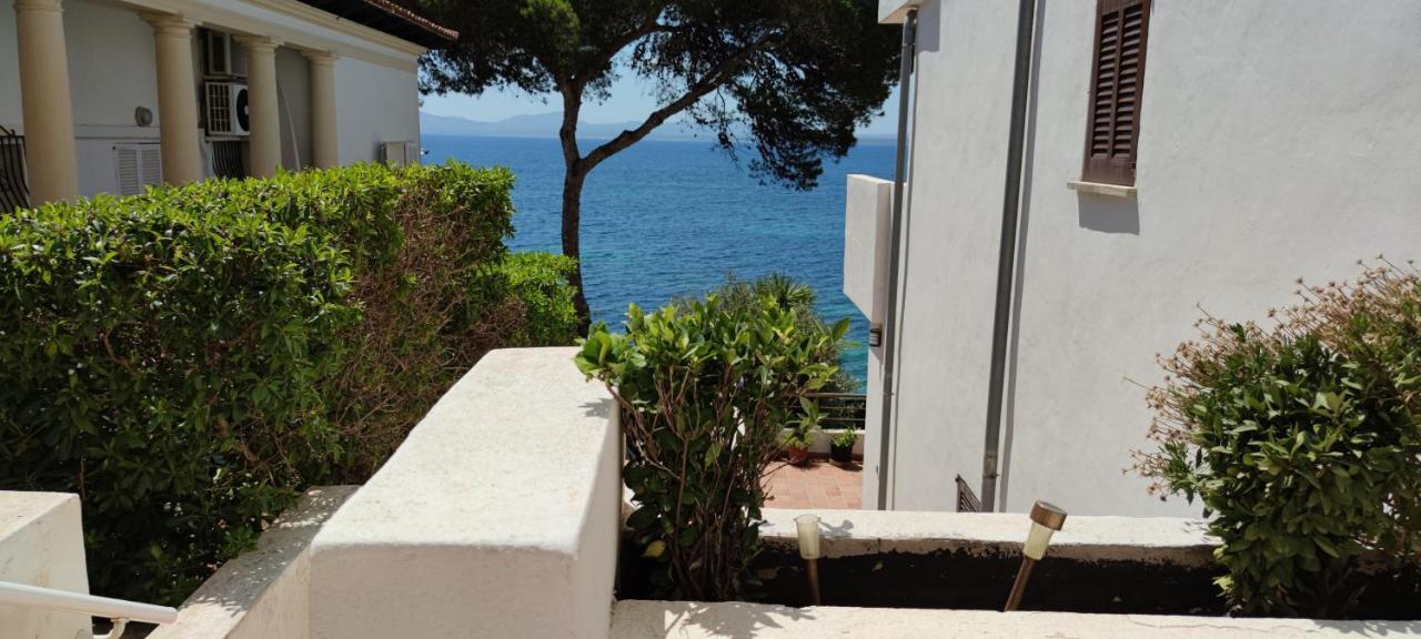 Blau Cel Apartment Alcudia  Exterior photo